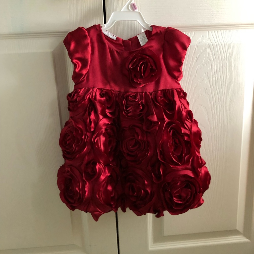 Red rose appliqué baby dress